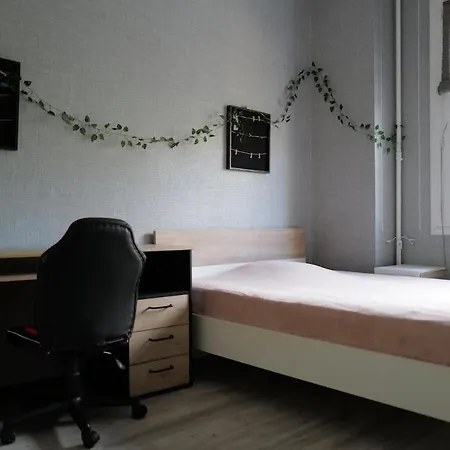 L'horizon De La Cite * Carcassonne