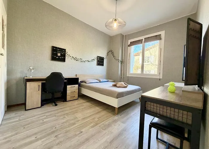 L'horizon De La Cite * 卡尔卡松